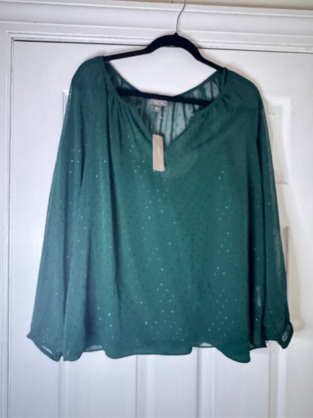 NWT: J. Crew Point Sur Academic Green Clip Dot Top XXL